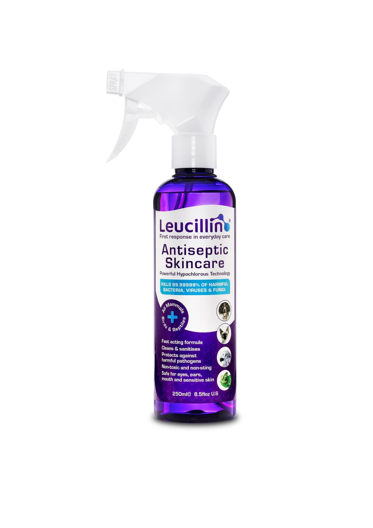 Leucillin Natural Antiseptic Spray 150ml - Antibacterial Antifungal Antiviral for Dogs Cats All Animals Itchy Skin Minor Wound Care and Skin Health | 150ml