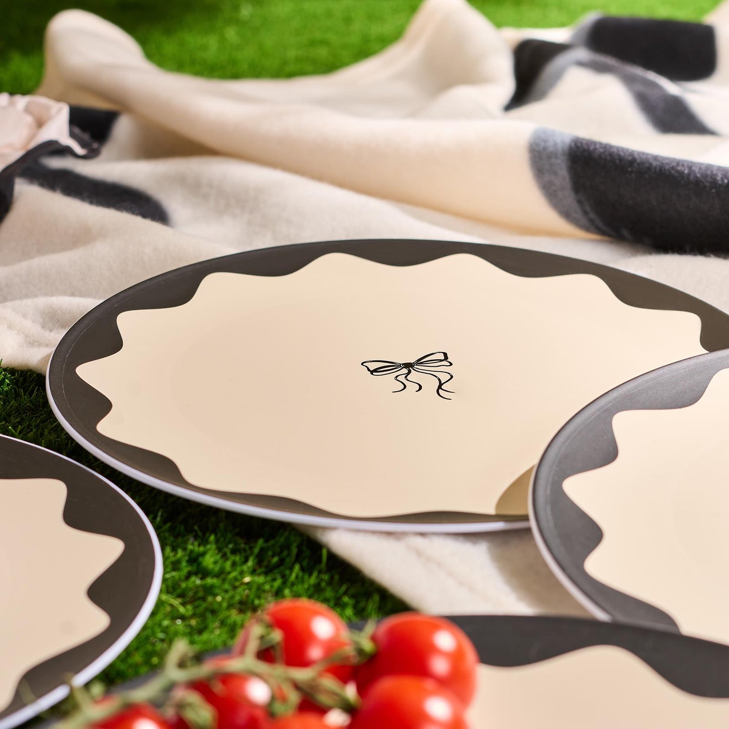 OHS Printed Picnicware Wine Cooler OR Picnic Blanket OR Bag Plates Bowls Glasses