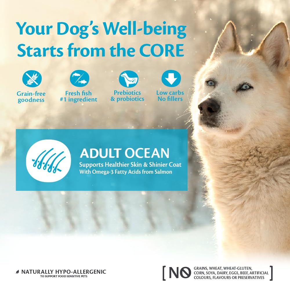 Wellness CORE Active Life 10 kg, Chicken & Turkey – Dry Dog Food
