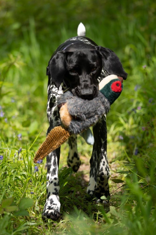 Petface Honking and Squeaky Duck Plush Dog Toy