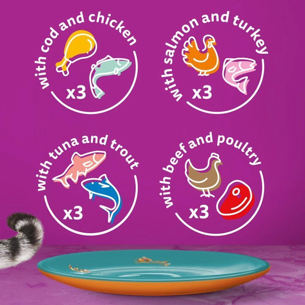 WHISKAS DUO Adult Wet Cat Food in Jelly 12x85g Surf & Turf (Pack of 4)
