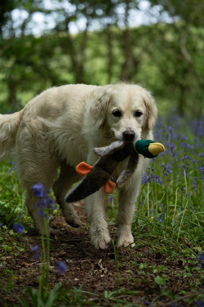 Petface Honking and Squeaky Duck Plush Dog Toy