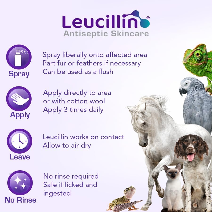 Leucillin Natural Antiseptic Spray 150ml - Antibacterial Antifungal Antiviral for Dogs Cats All Animals Itchy Skin Minor Wound Care and Skin Health | 150ml