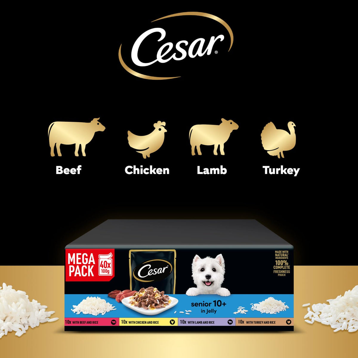 CESAR Pouch Selection in Jelly, Fresh Adult Wet Dog Food Pouches in Delicious Jelly with Succulent Meats and Vegetables, 48 x 100 g