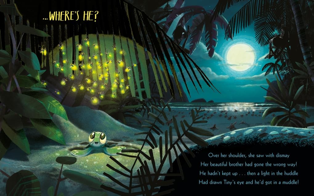 The Turtle Who Turned the Tide: From The World of Rachel Bright & Jim Field