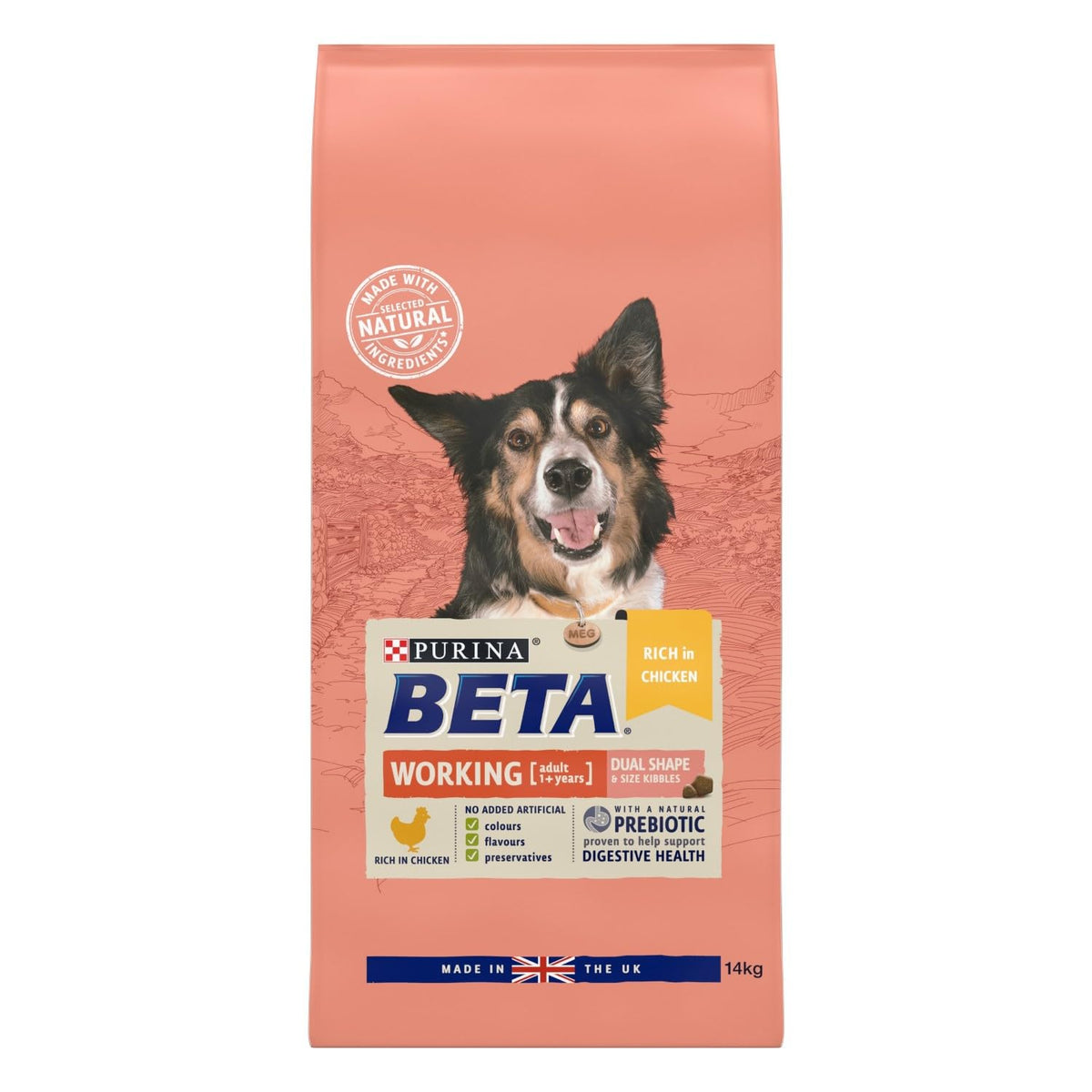 BETA Adult Sensitive Salmon Dry Dog Food 14kg
