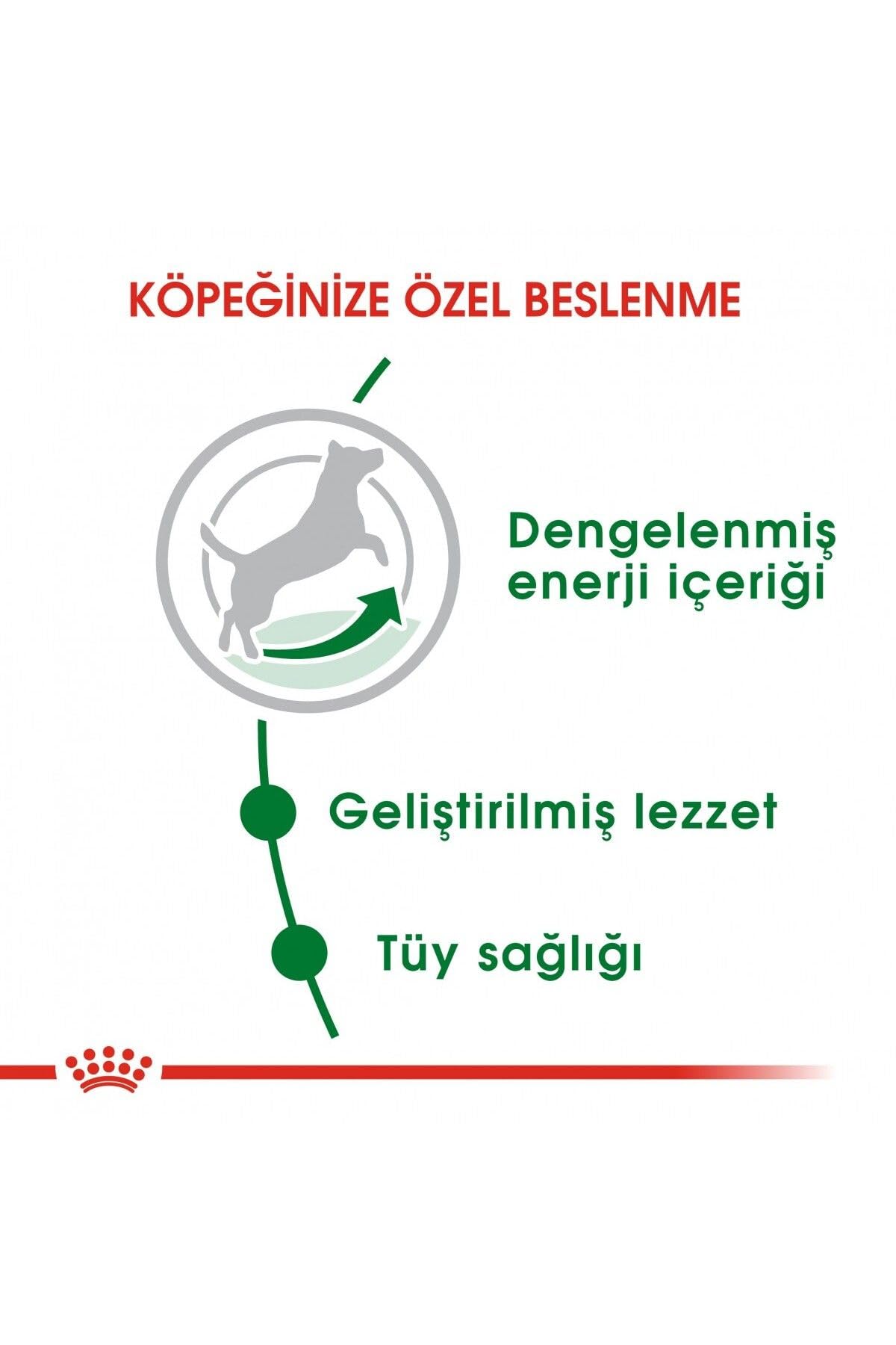 Royal Canin Mini Adult 4 kg