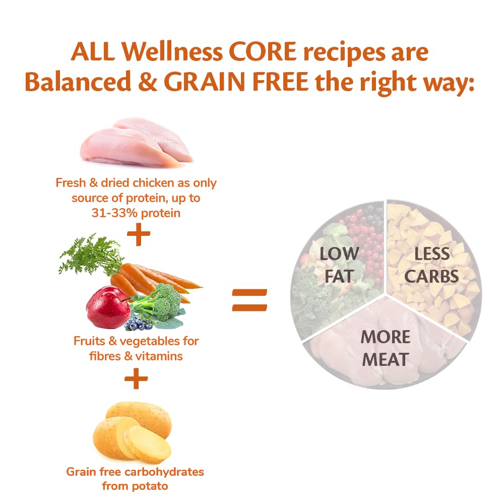 Wellness CORE Active Life 10 kg, Chicken & Turkey – Dry Dog Food