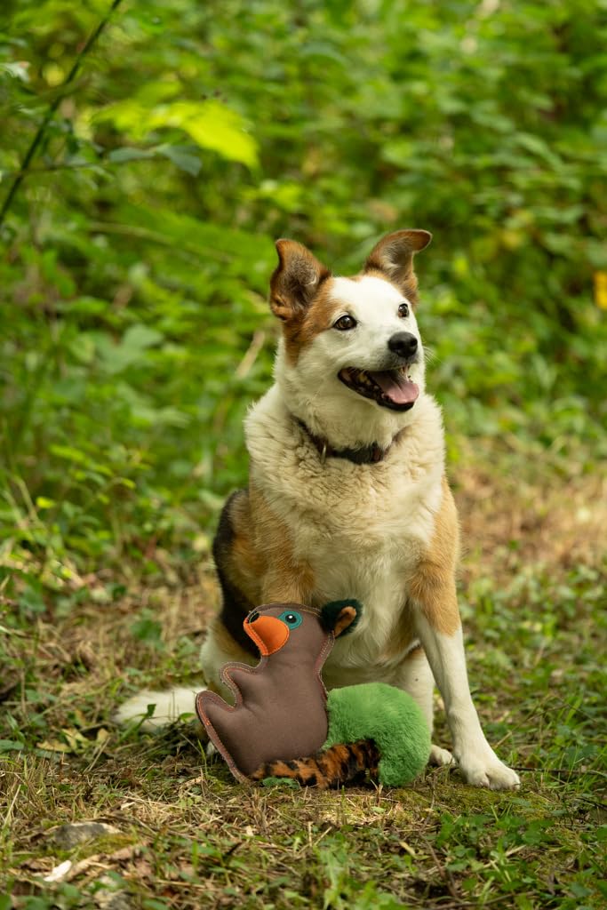 Petface Honking and Squeaky Duck Plush Dog Toy