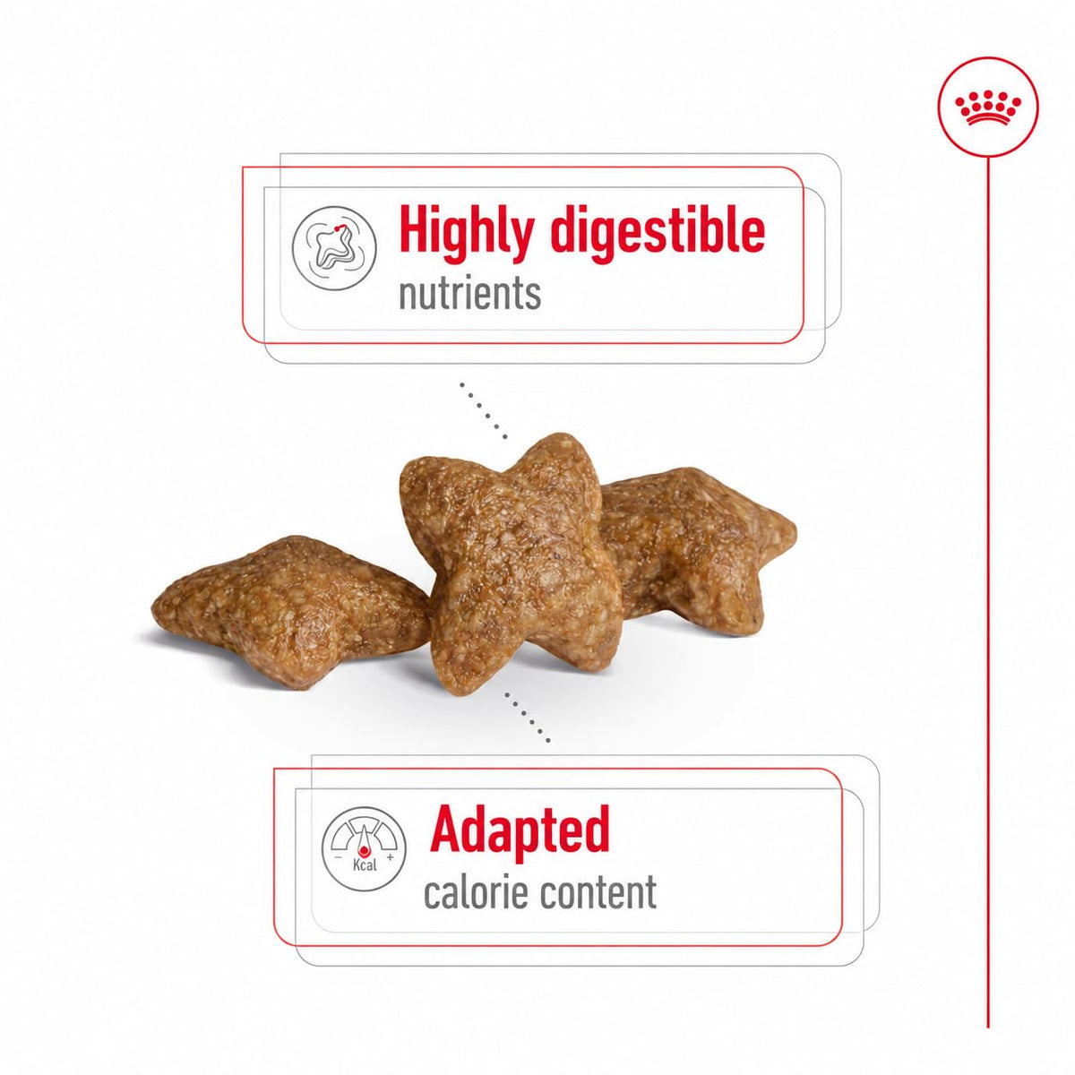 Royal Canin Mini Adult 4 kg
