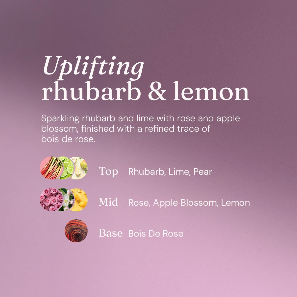 Miniml Eco Washing Up Liquid 5L Refill – Wild Rhubarb & Lemon