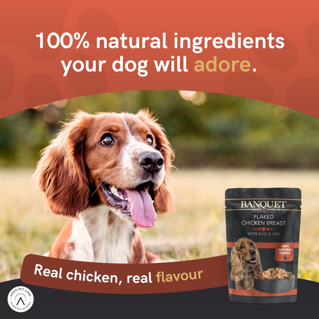 HiLife Banquet Adult Wet Dog Food, Mixed Multipacks Classic Collection & Supreme Selection, Made with 100% Natural Ingredients (36 Pouches x 100g)