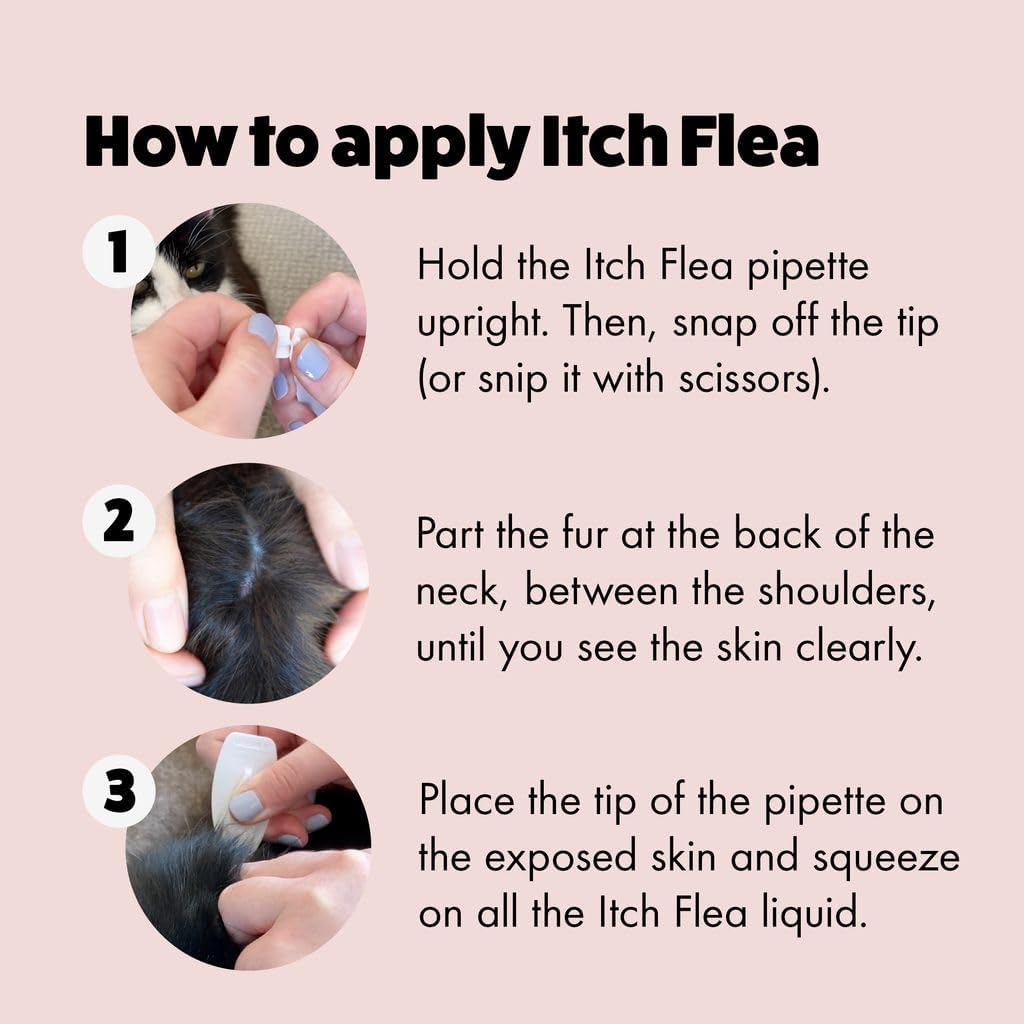 Itch - Flea & Tick Treatment for Cats & Household Flea Spray - Kills Fleas, Lice, Ticks, Eggs and Larvae - With Fipronil and S-Methoprene - Odourless 500ml Spray & Pack of 3 Pipettes