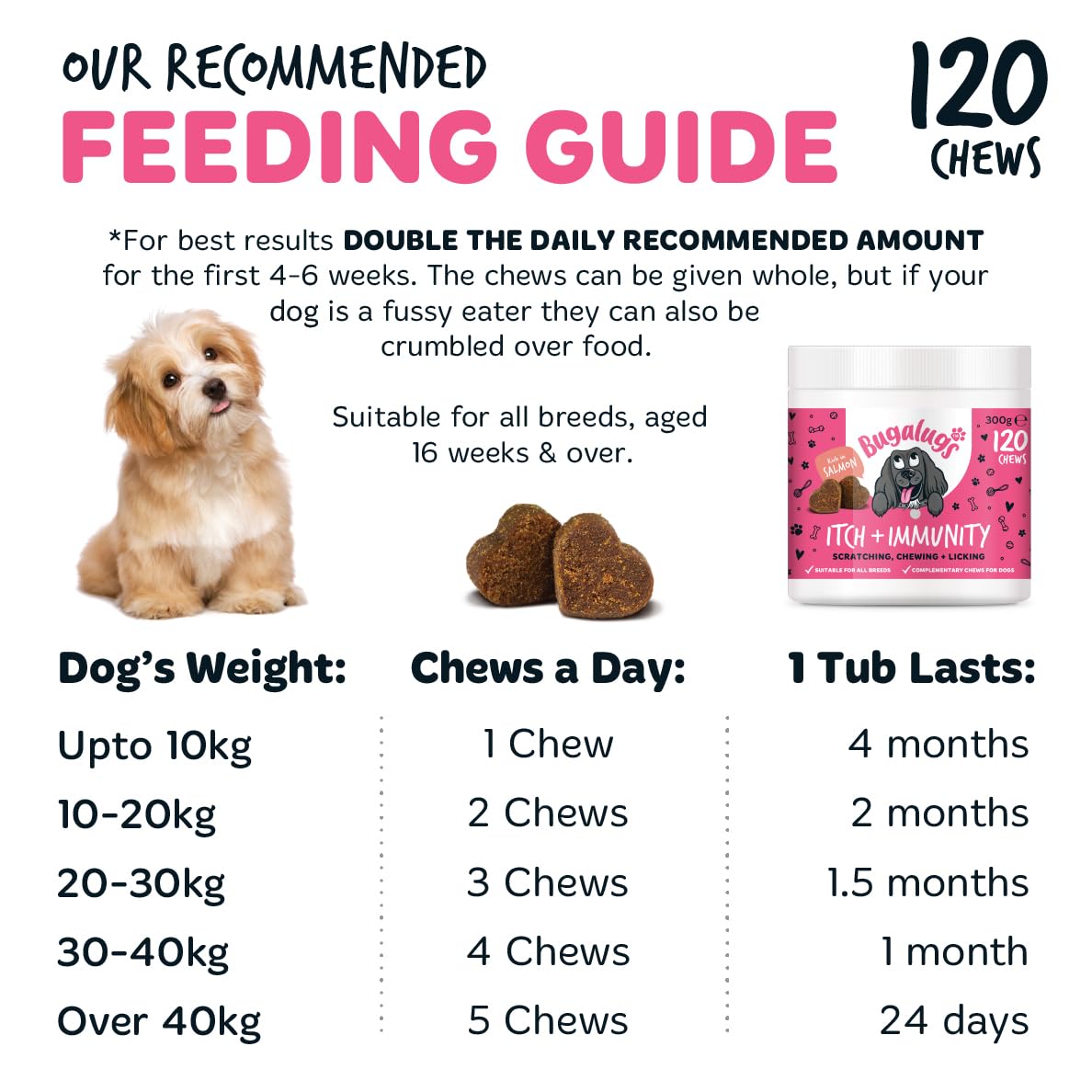 BUGALUGS Itch & Immunity Antiseptic Spray – Helps Soothe Itchy Skin, Paws, Ears - Licking, Scratching - Perfect for Small, Medium & Large Dogs