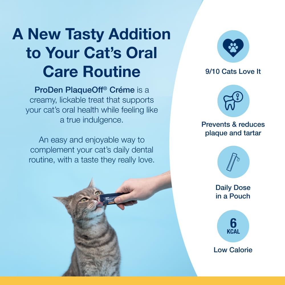 ProDen PlaqueOff 40g Powder for Cats, 100% Natural Tooth Care Powder, Protects Against Bad Breath, Helps with Tartar and Plaque