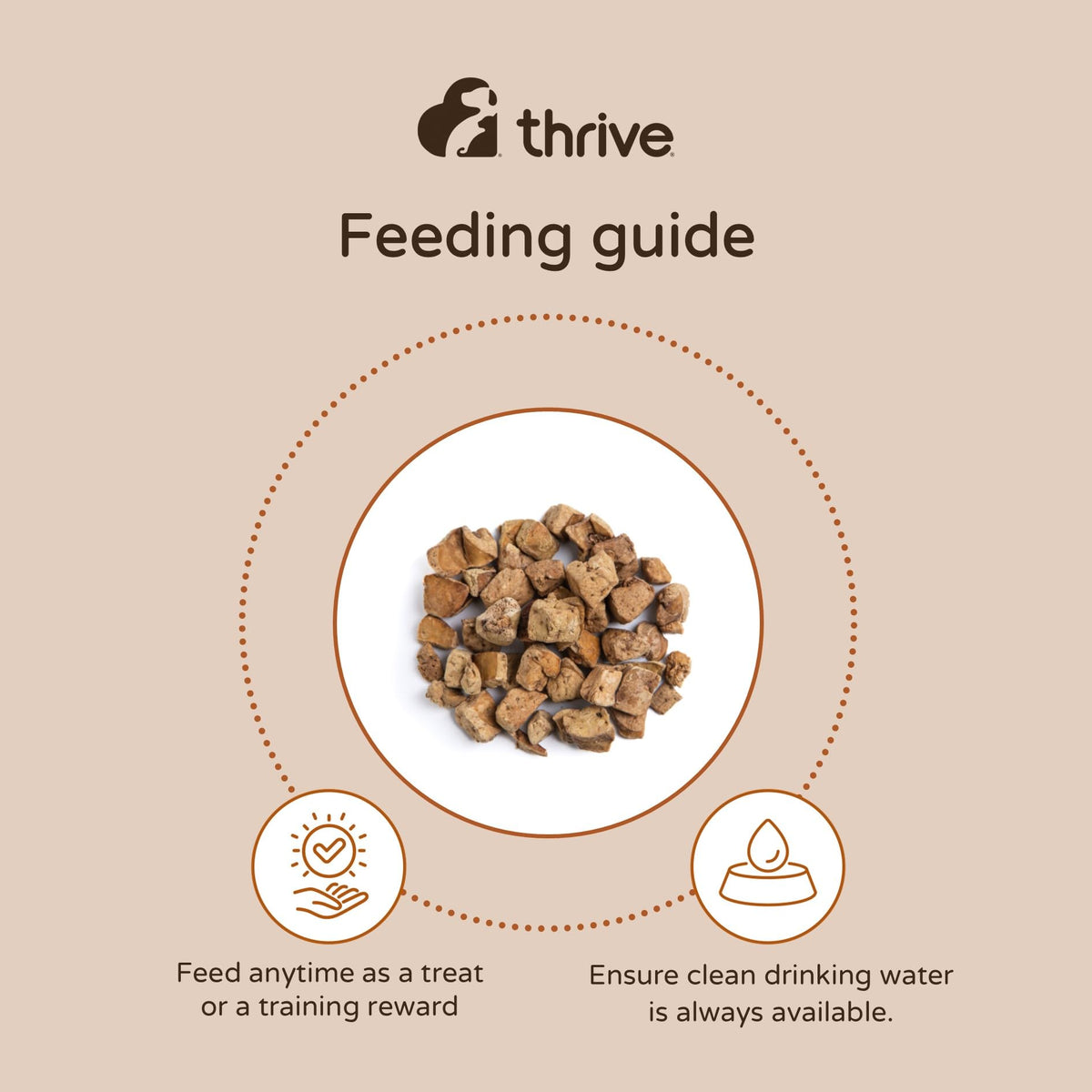Thrive 100% Chicken Breast Freeze-Dried Cat Treats – Single Ingredient, High Protein – Grain Free – 170g MaxiTube