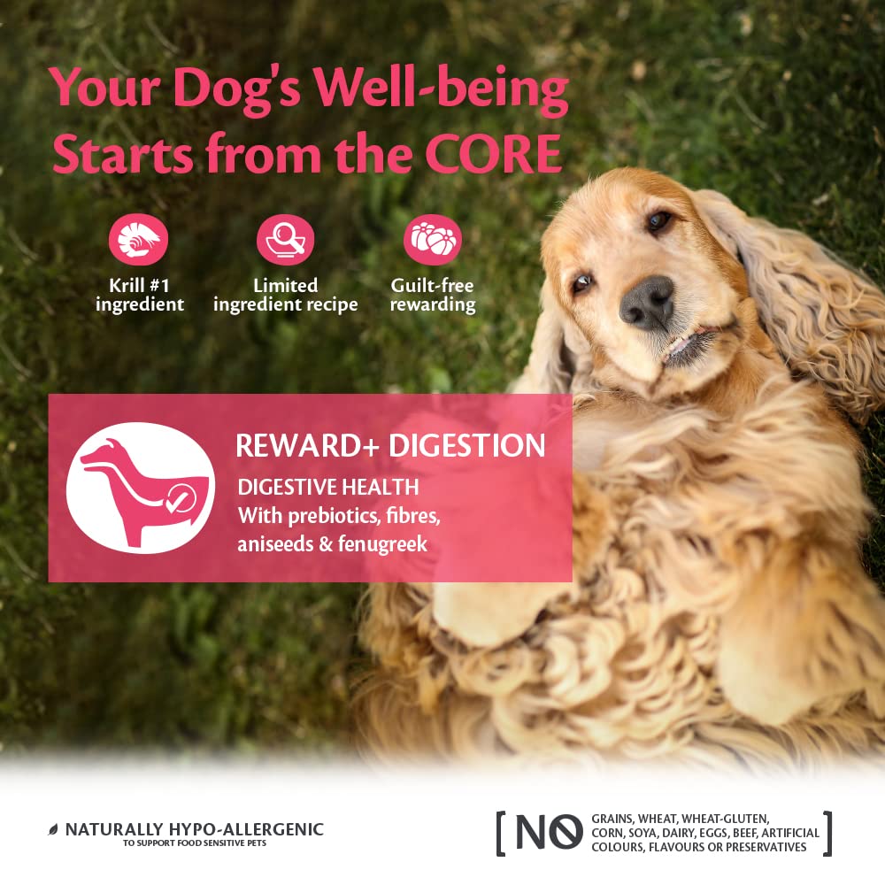 Wellness CORE Reward+ Mobility 170g, Turkey – Soft Dog Treats