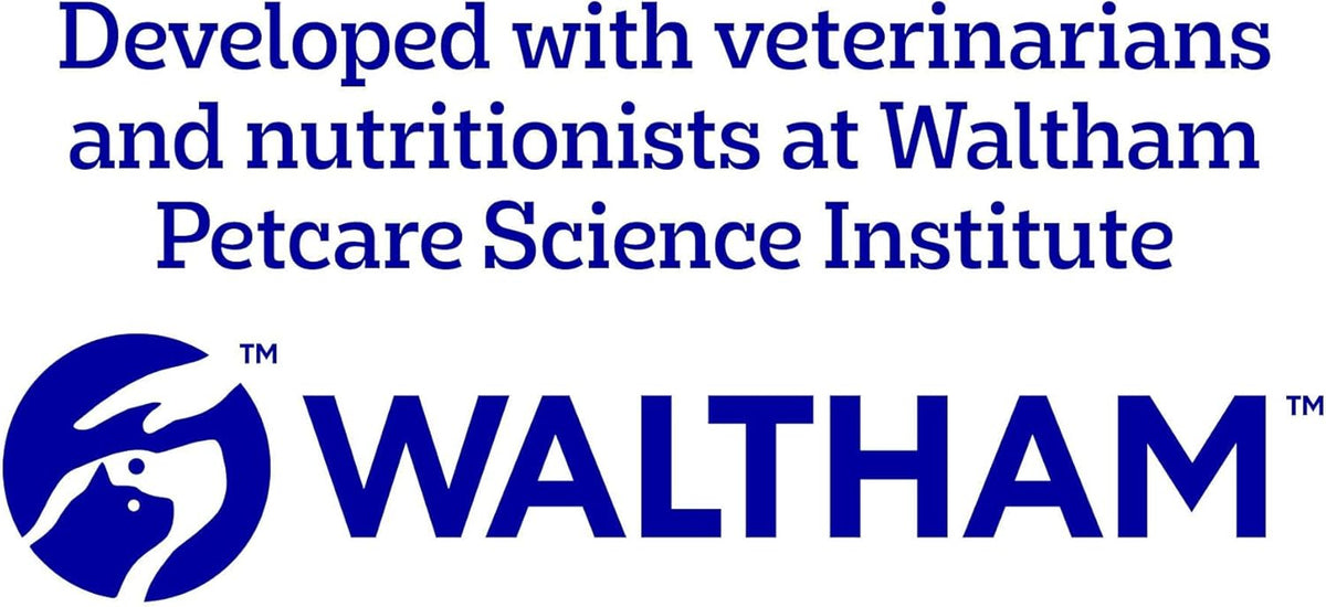 Pedigree Adult Dog Wet Food Can, Mixed Selection Gravy, 12x400g