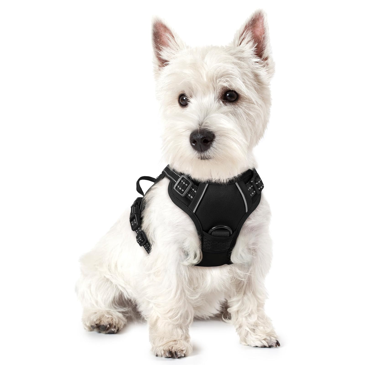 rabbitgoo Dog Harness Large Dog, No Pull Vest with Front Clip & Handle