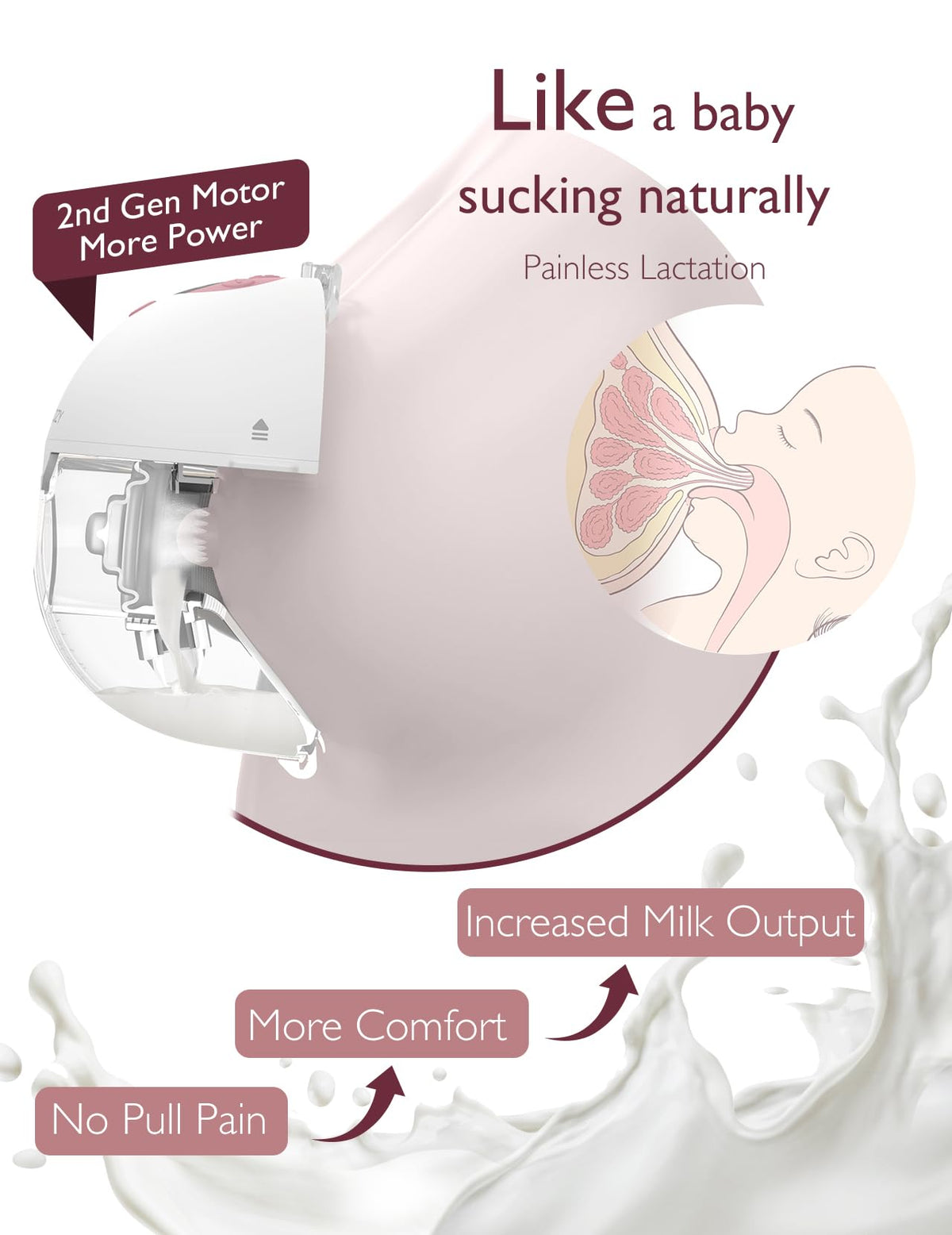 Momcozy Full Set Collector Cup Only Compatible with Momcozy M5 NOT for Others. Original M5 Breast Pump Replacement Accessories (160ml, with Double-Sealed Flange 24mm)