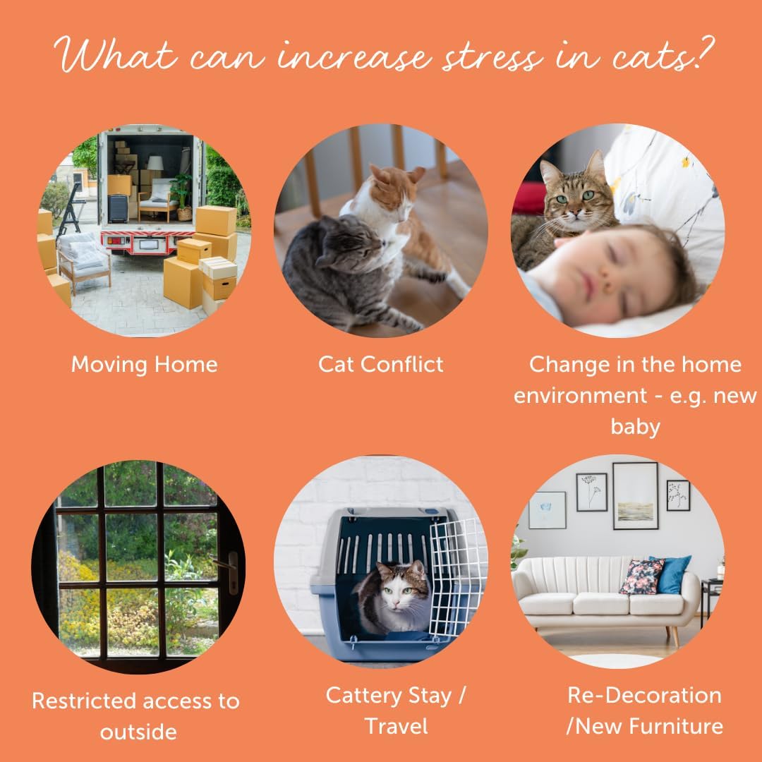 FELIWAY Cystease 30 Capsule Pack, Cats Urinary Tract Infection Treatment
