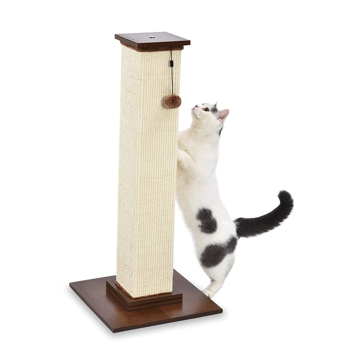Amazon Basics Cat Scratching Post for Indoor Cats, Standard with Dangling Toy, 80 cm, Grey