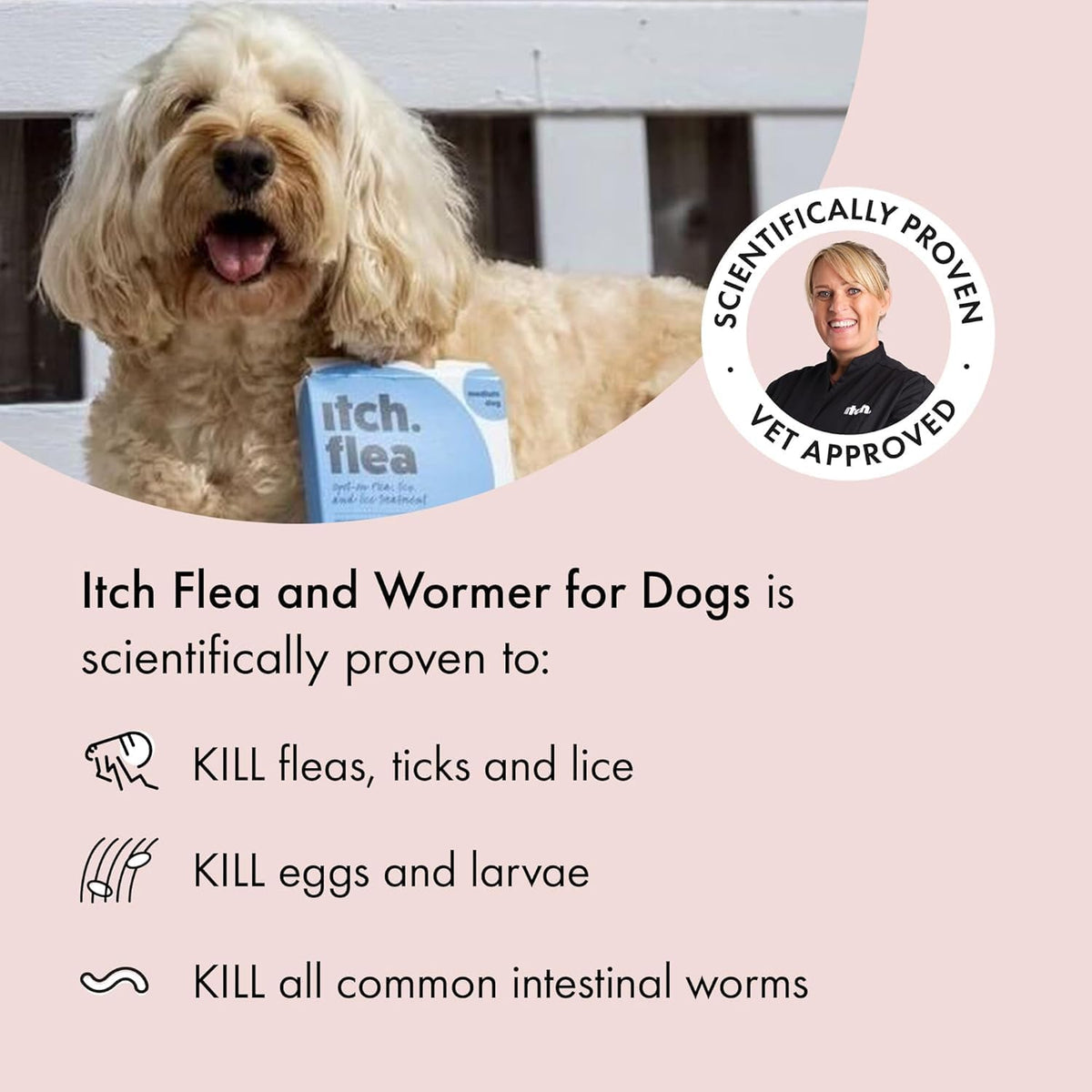 Itch Large Dog (20-40kg) Flea & Tick Treatment and Wormer Bundle