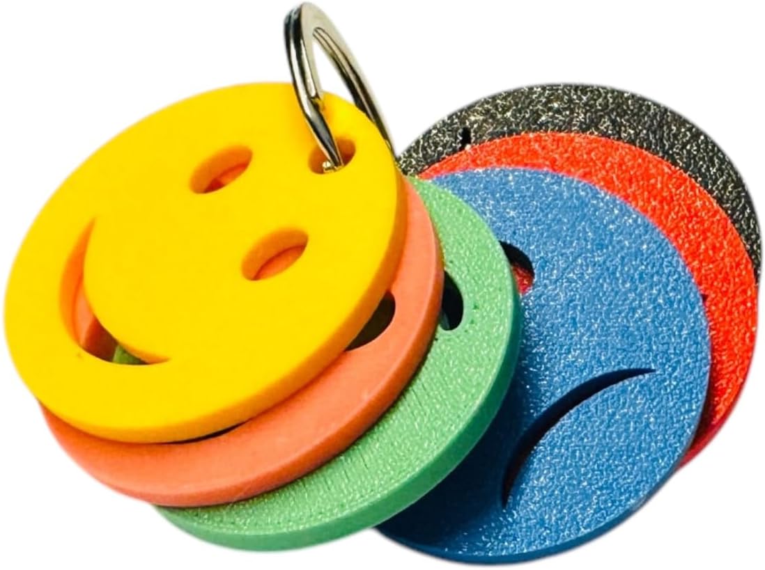 Colour Feelings 6 Emotional Regulation Keychain | 6 Mood Zone Discs for Children and Adults For Special Educational Needs | Emotions Teaching Aid | SEN Communication Tool/Accessory