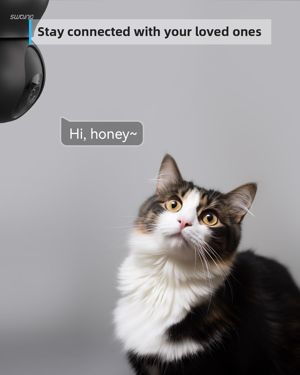 blurams Pet Camera 2K, Indoor Cameras, Dog Camera, 360° Home Security Cameras, Color Night Vision, Motion Tracking, 2-Way Talk, Cloud&SD, APP Control, Compatible with Alexa