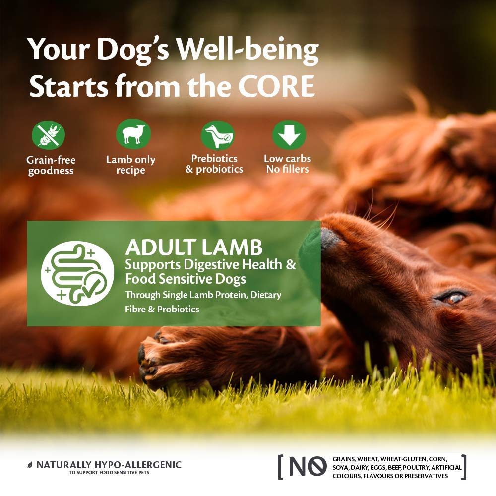 Wellness CORE Active Life 10 kg, Chicken & Turkey – Dry Dog Food