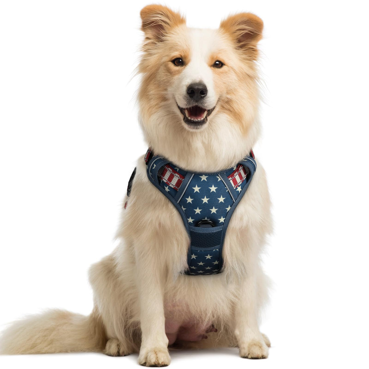 rabbitgoo Dog Harness Large Dog, No Pull Vest with Front Clip & Handle