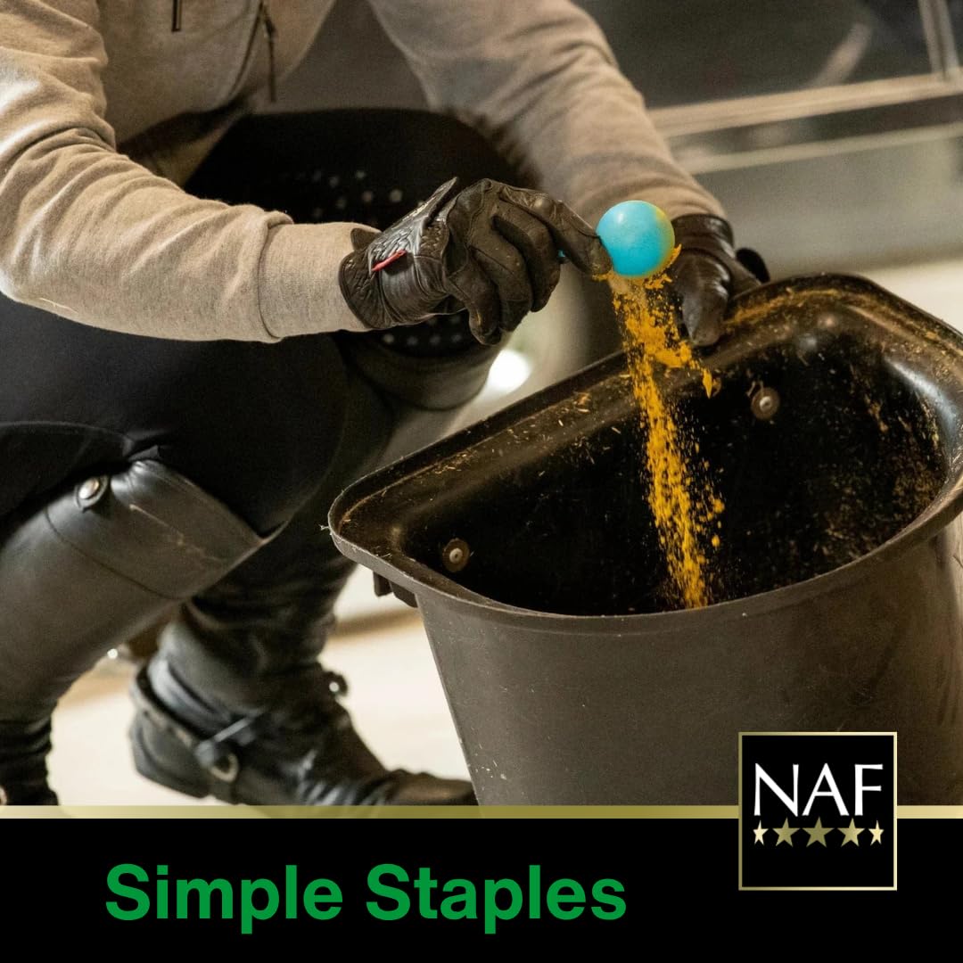 NAF Blueberry & Banana Horse Treats 1kg – Natural Low-Sugar Equine Snacks – Laminitis-Friendly Healthy Horse & Pony Treats – Nutritious Daily Reward for Training, Bonding & General Feeding