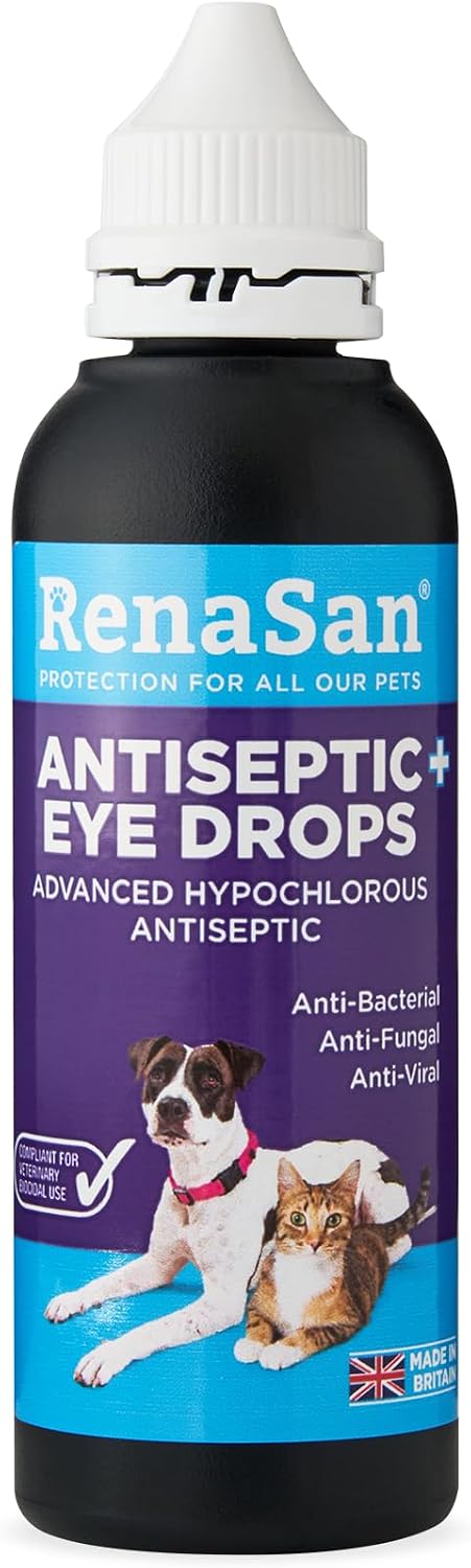 RenaSan Antiseptic Eye Drops (60 ml) – Eye Disinfection, Alcohol-Free, Non-Irritating and Natural Eye Cleaning Solution for Dogs, Cats, Reptiles, Poultry, Avian & Livestock (PACKAGING MAY VARY)