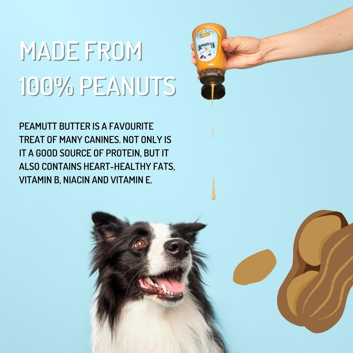 Peamutt Squeezy Dog Peanut Butter 320g, No Added Sugar or Salt, No Palm Oil