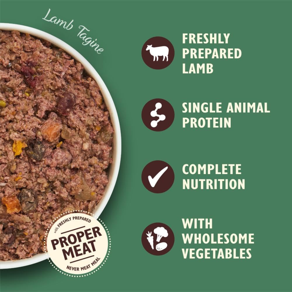 Lily's Kitchen Natural Adult Dog Food Wet Trays - Classic Dinners Multipack - Chicken, Lamb & Beef - Complete Meal Recipes (6 Trays x 150g)