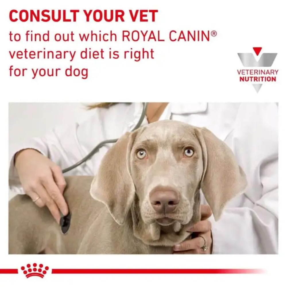 Royal Canin Veterinary Diet Dog - Gastro Intestinal Low Fat, 6kg