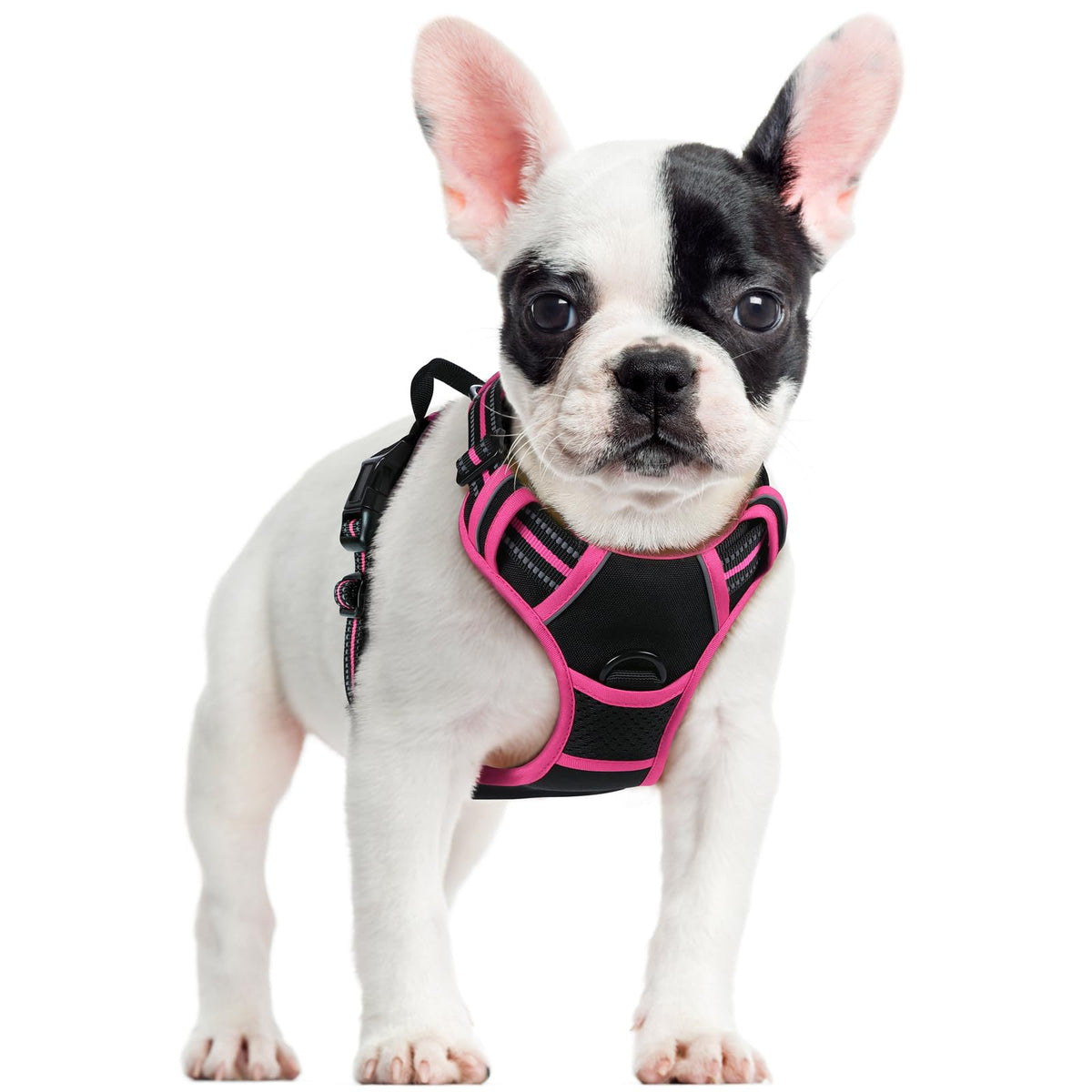 rabbitgoo Dog Harness Large Dog, No Pull Vest with Front Clip & Handle