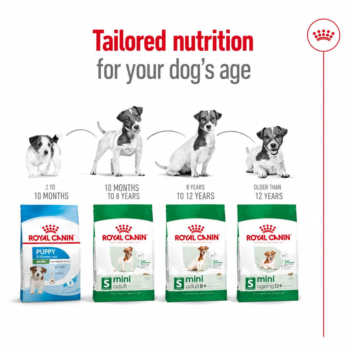 Royal Canin Mini Adult 4 kg