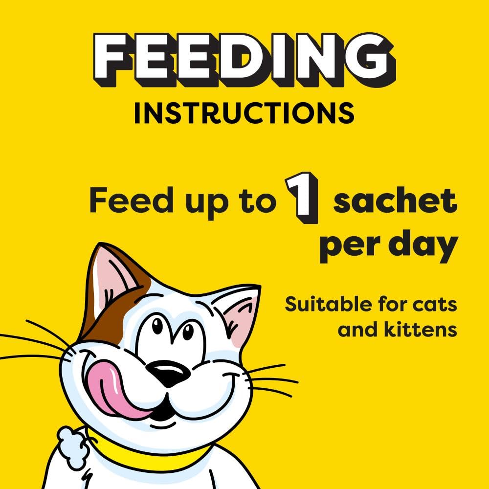 DREAMIES - Chicken Cat Treats - 2x350g - Multipack Snacks 2 Mega Tubs - Bulk Cat Food