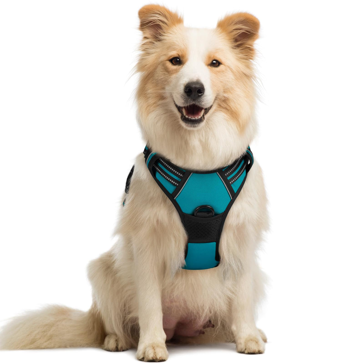 rabbitgoo Dog Harness Large Dog, No Pull Vest with Front Clip & Handle