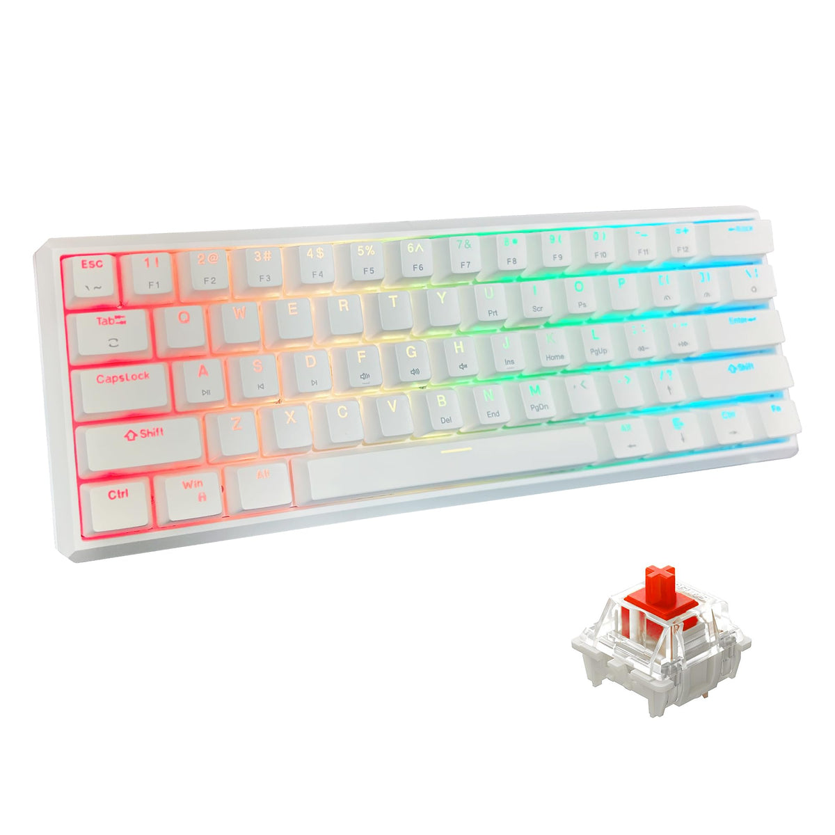 Snpurdiri Wired Mechanical Gaming Keyboard, 60% Size, LED Backlight, 61 Keys, Small Wired Office Keyboard for Windows Laptop/PC, Mac (Black-Red, Blue Switches)