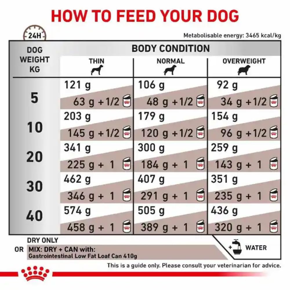 Royal Canin Veterinary Diet Dog - Gastro Intestinal Low Fat, 6kg
