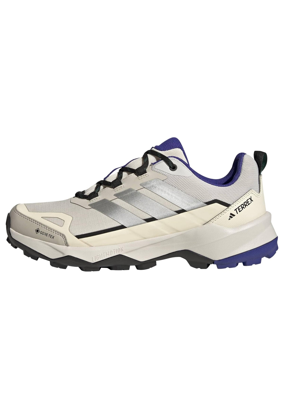 adidas Men's Terrex Skychaser AX5 Gore-TEX Hiking Shoes