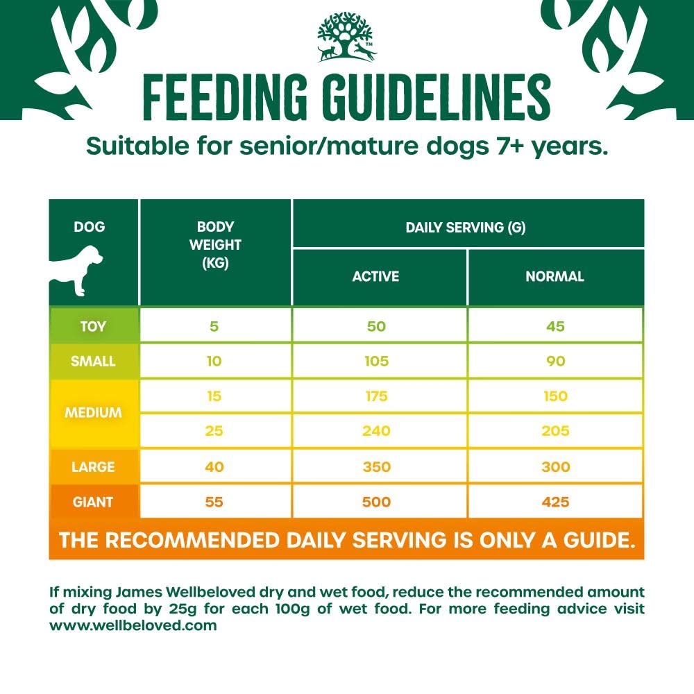 James Wellbeloved Dog Senior Hypoallergenic Dry Food Turkey and Rice 2 kg