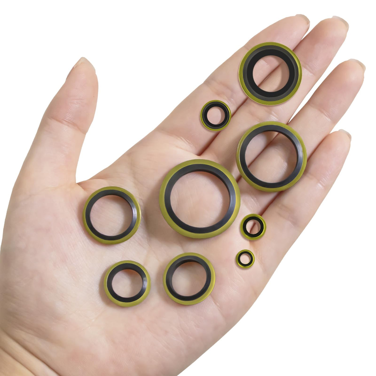 XBVV 20 Sizes O Rings O Rings Rubber Assorted Seal Kit