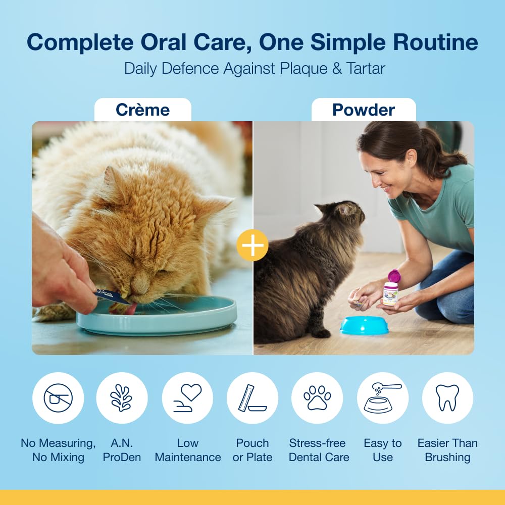 ProDen PlaqueOff 40g Dental Powder for Cats - 100% Natural, 4-Month Supply