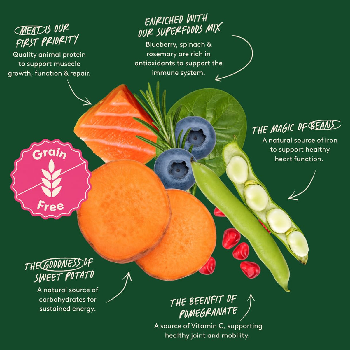 Harringtons Superfoods Complete Grain Free Dry Adult Dog Food Salmon with Veg 12kg - Made with All Natural Ingredients (Packaging may vary)