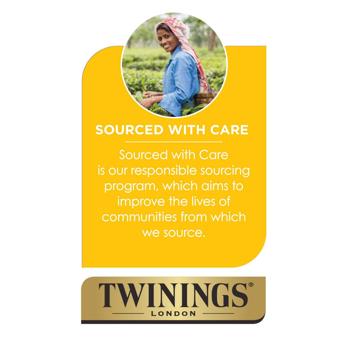 Twinings English Breakfast Tea, 4 x 80 Biodegradable Plant-Based Tea Bags