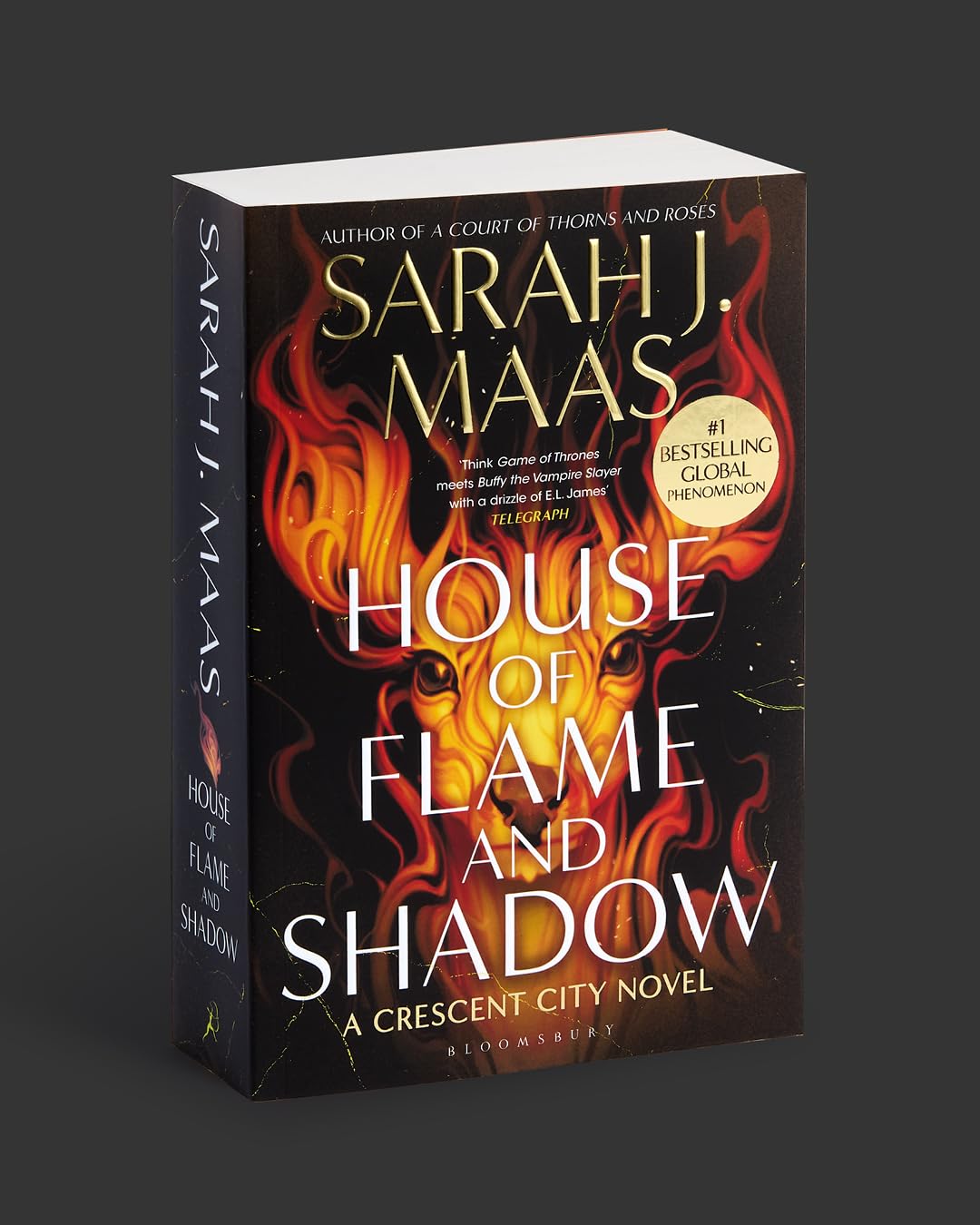 House of Flame and Shadow: The INTERNATIONAL BESTSELLER and the smouldering third book in the Crescent City series, from the creator of ACOTAR