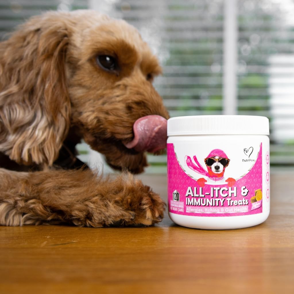 NutriPaw All-Itch Immunity Treats For Dogs - Soothe Itchy Paws, Eyes, Ears, Skin - Stop Itching, Licking, Scratching - Good for Small, Medium & Large Dogs - Supports Seasonal Itching - Trio Value Pack